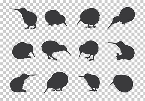 The kiwi is covered with dense. Latest HD How To Draw A Kiwi Bird Easy Step By Step - hd ...