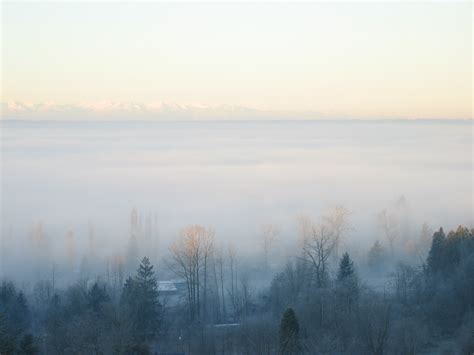 Filedecember Fog 01