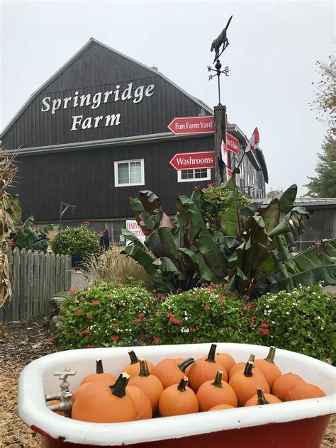 10 Charming Farms in Southern Ontario | Trips to Uncover | Travel Blog