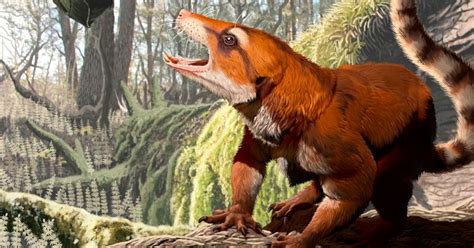 Fossil From Utah Sheds Light On Primitive Mammal Group