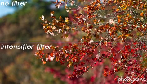 Are There Reasons To Use Colour Filters With Digital Cameras