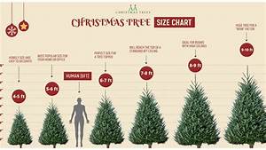Buying A Real Christmas Tree You Need To Read This Buyers Guide Aa