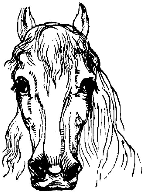 Search through 623,989 free printable colorings. Free Horse Coloring Pages