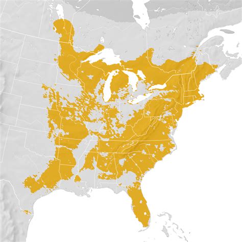 Eastern Whip Poor Will Range Map Pre Breeding Migration Ebird