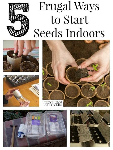 5 Frugal Ways To Start Seeds Indoors Vegetable Garden For Beginners