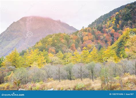 Kamikochi National Park In Autumn Japan Stock Photo Image Of Leaf
