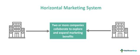 Horizontal Marketing System What Is It Examples Vs Vertical