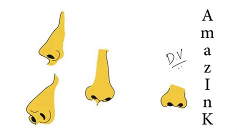 Types Of Noses Drawing | Free download on ClipArtMag gambar png