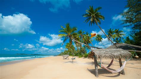 Tropical Sand Beaches In Sri Lanka Indian Ocean Photo Wallpaper Hd