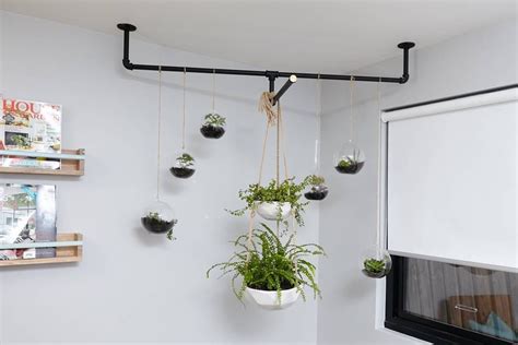 Hang Plants From Ceiling House Plants Hanging Indoor Plant Wall Diy