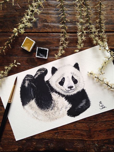 Watercolor Aquarelle Painting Panda By Eli Bichita Pencil Drawings