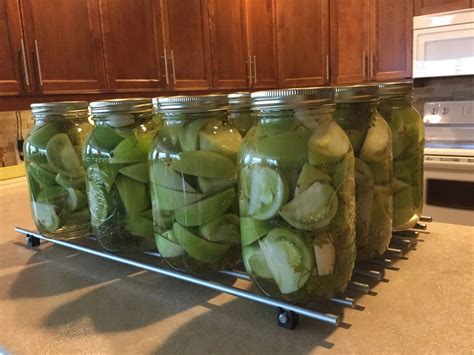 Pickled Green Tomatoes  just plain and simple ! | Pickled green tomatoes, Green tomatoes 
