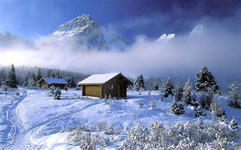Free Download Winter Wonderland Dreamy Snow Scene Wallpaper 1440x900