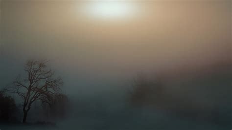 Foggy Landscape In The Forest Image Free Stock Photo Public Domain