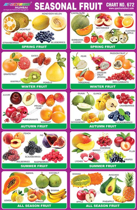 Seasons Of Fruits And Vegetables List