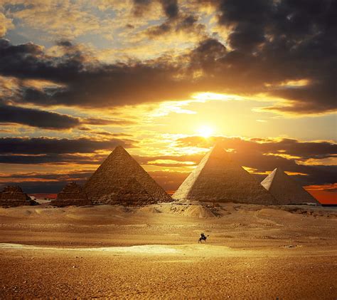 Desert Sunset Ancient Camel Desert Egypt Pyramid Sand Hd