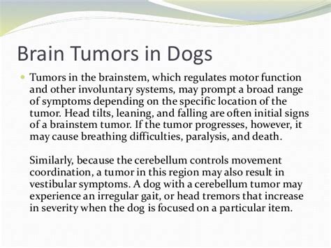 What Are Symptoms Of A Tumor In A Dog Brain Tumors In Pets Never