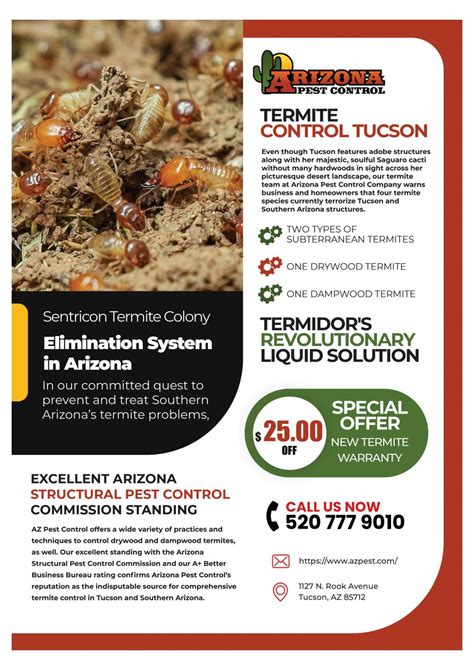 pest and termite control in tucson pack rat extermination tucson by azpest control issuu