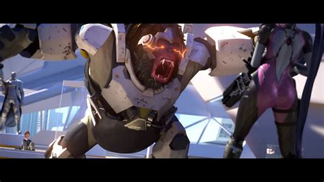 Overwatch Full Hd Wallpaper And Background Image 1920x1080 Id556158