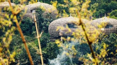 Rwanda Africa The Most Talked About Safari Spot Right Now Cn Traveller