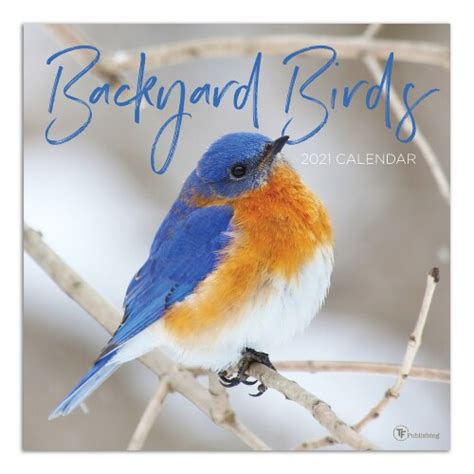 2021 Backyard Birds Wall Calendar By Tf Publishing 1 Ct Kroger