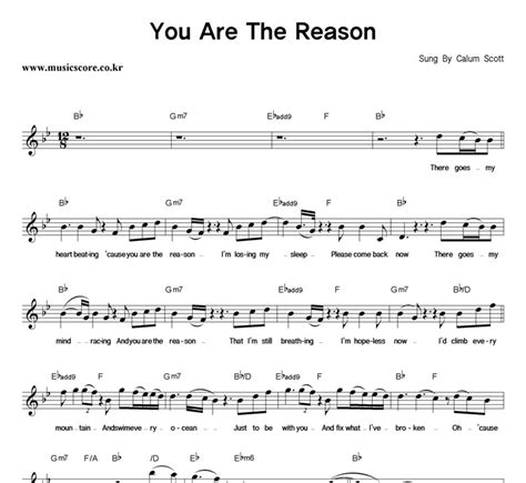 Gm'cause you are the reason. Sheet Music Calum Scott You Are The Reason - Calum Scott Songs