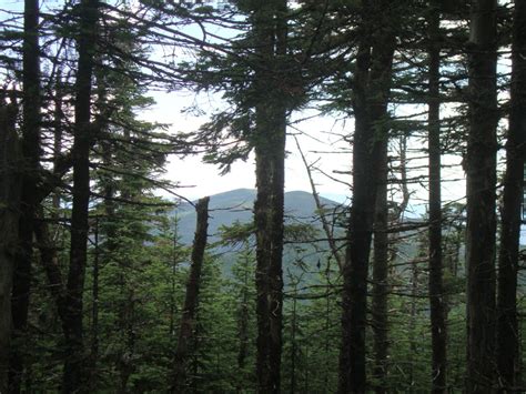 Snow Mountain Maine July 9 2011 Hike Trip Report Franklinsites