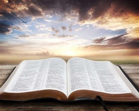 100 Inspiradoras Frases De La Biblia Expande Tu Mente
