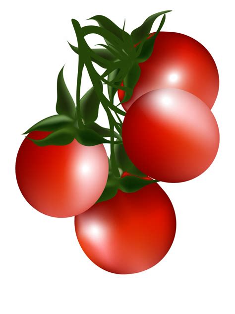 Free Printable Clip Art Of Tomato Free Printable Download