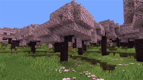 Minecraft Is Getting A Comfy Cherry Blossom Biome In The Next Big Update