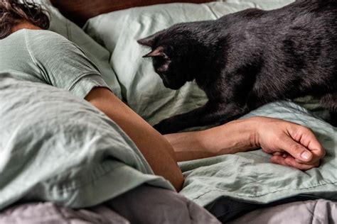 Reasons Why Your Cat Wakes You At Night And How To Stop It