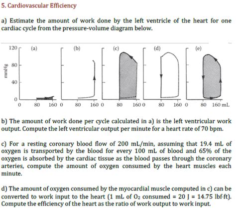 Solved 5 Cardiovascular Efficiency A Estimate The Amount