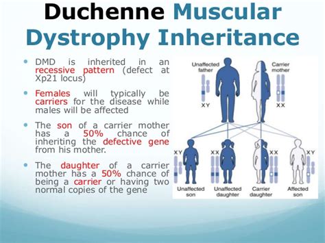 Duchenne Muscular Dystrophy Genetics