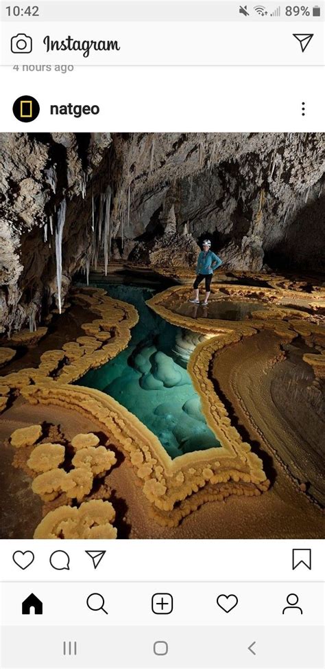 Maybe you would like to learn more about one of these? Pin by Catherine Hoffman on school in 2020 | Carlsbad ...