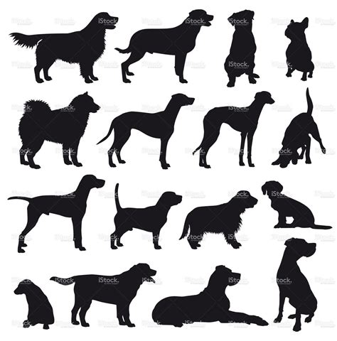 Dog Breeds Silhouette Set Stock Vector Art 15900644 Dog Silhouette
