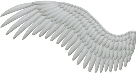 Wings Png Hd Png Mart