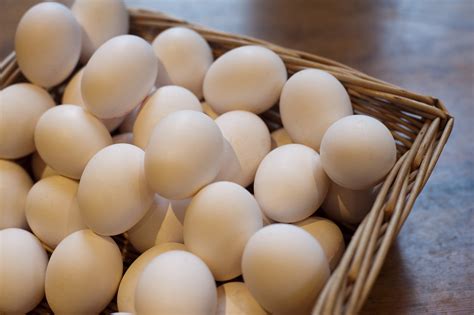 Farm fresh hens eggs - Free Stock Image