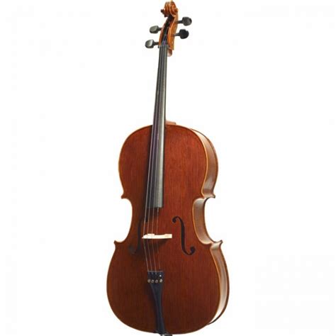 Stentor Messina Cello Instrument Only 1590 At Promenade Music