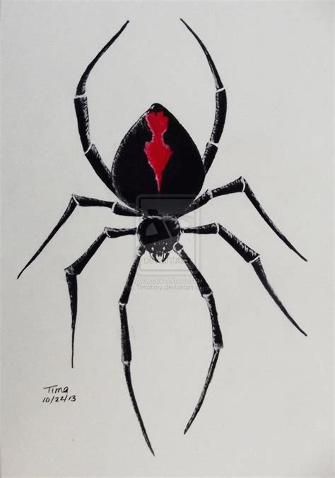 Black Widow Spider By Timatimy On Deviantart Black Widow Tattoo