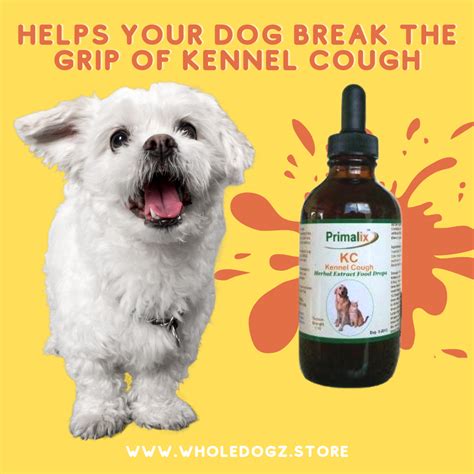 Help Your Dog Or Pup Combat Seasonal Allergies With The All Natural