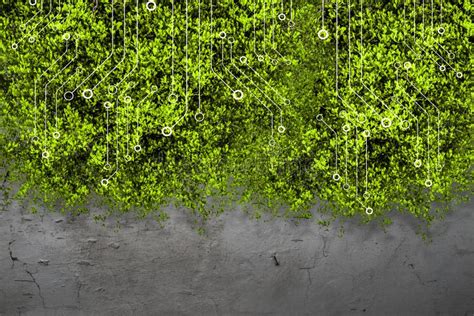 Concrete Texture And Green Grass Stock Image Image Of Boundary