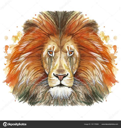 40 Best Collections Drawing Lion Head Lion Mane Armelle