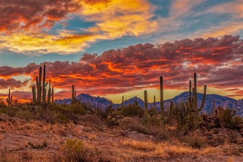 A Fiery Sonoran Desert Sunrise Instagramaz Arizona Sunrise