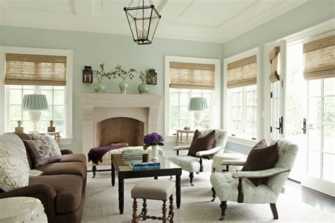 Brown And Green Living Room Traditional Living Room