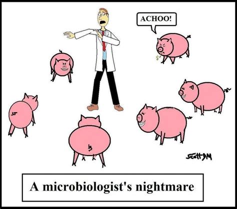 9 Best Microbiology Funnies Images On Pinterest Science Humor