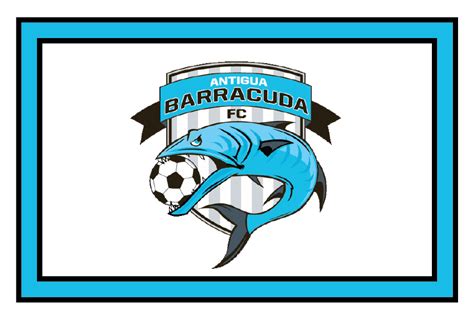 Barracuda Sports Logos Spor Repor
