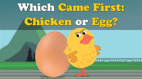 Which Came First Chicken Or Egg More Videos Aumsum Kids