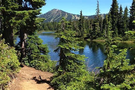 Great Parks For Hiking On Vancouver Island Vancouver Island News