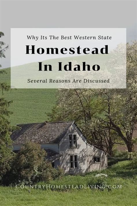 Why Idaho Is The Best Western State In Which To Homestead Country