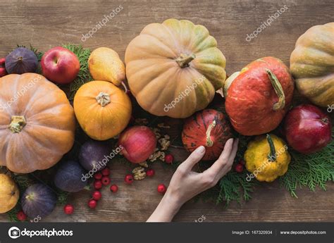 Autumn Harvest — Stock Photo © Antonmatyukha 167320934